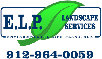 Avatar for ELP Landscape Services