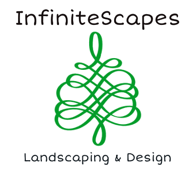 Avatar for InfiniteScapes