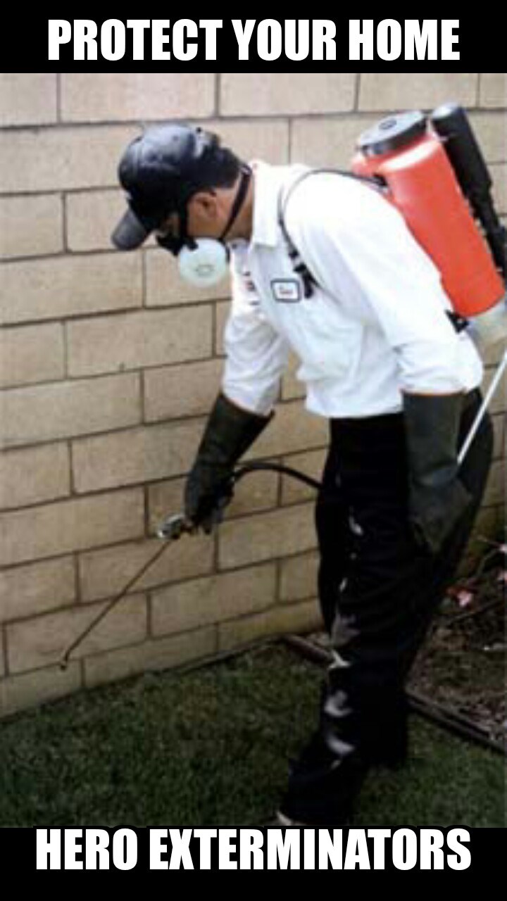 Hero Exterminators logo