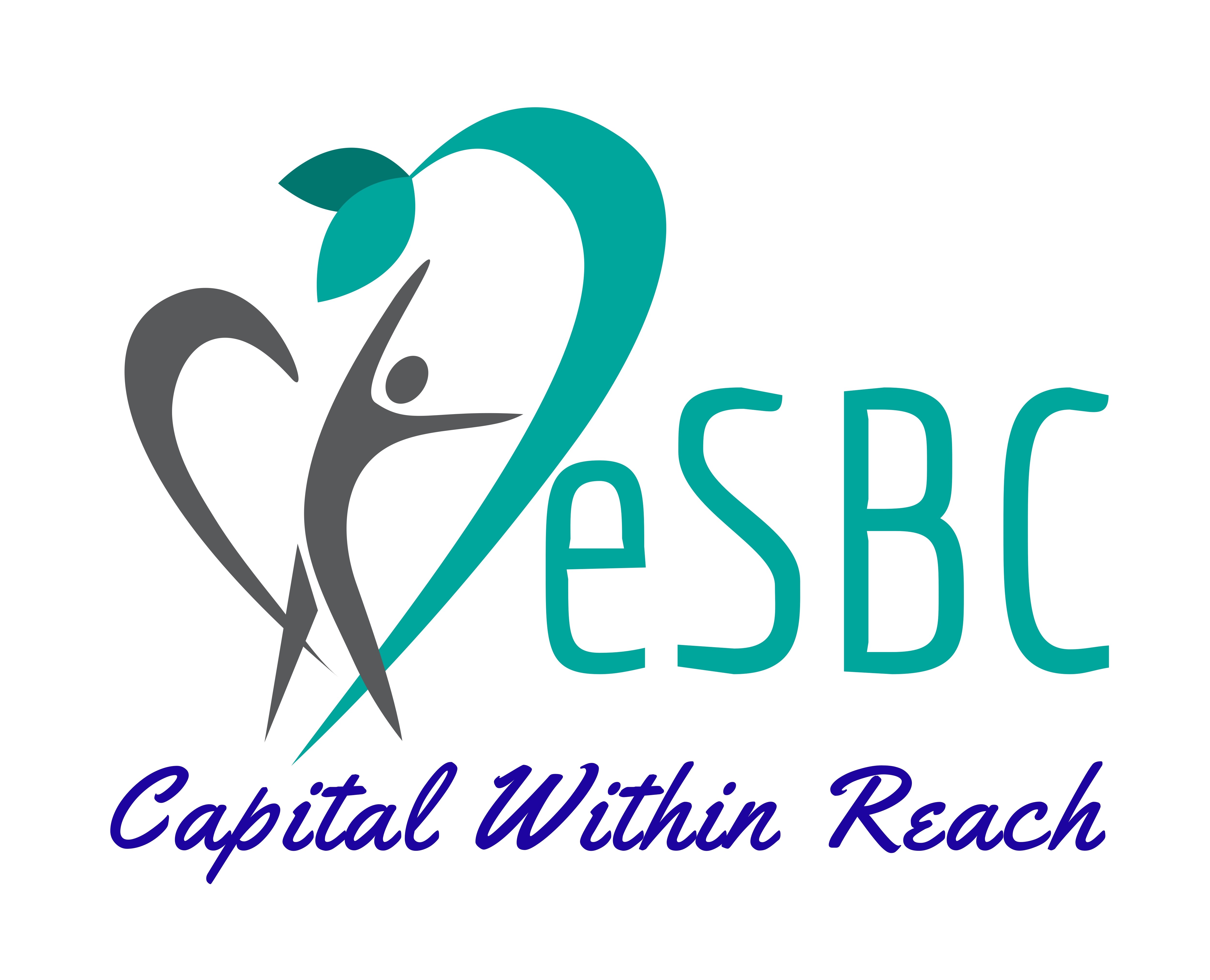 e Small Business Capital logo