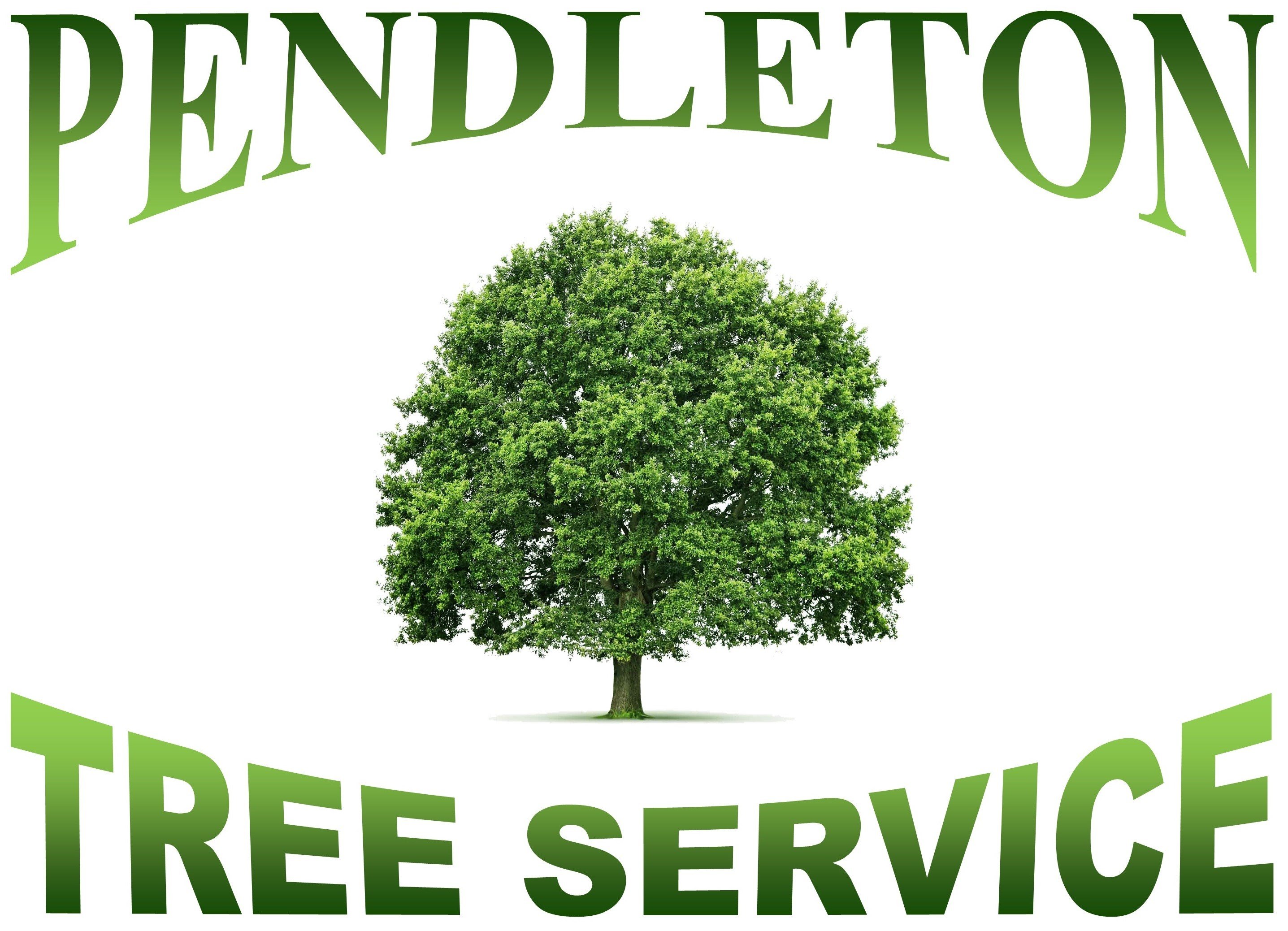 Avatar for Pendleton Tree Service
