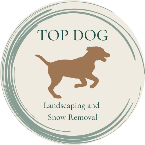 Avatar for Top Dog Landscaping and Snow Removal