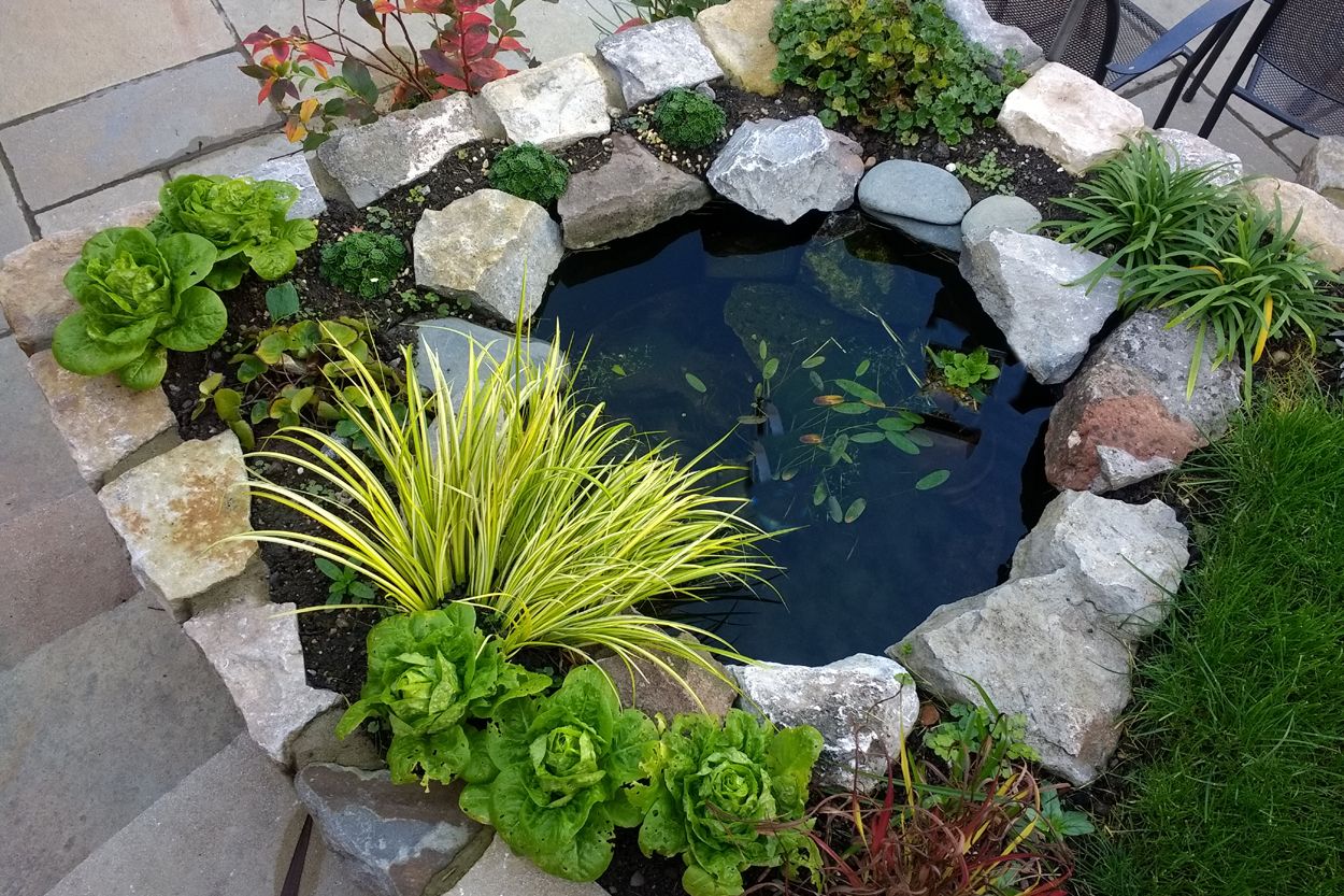 Avatar for Integral solutions