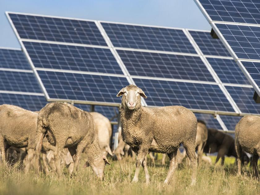 Avatar for GallupSolar.org