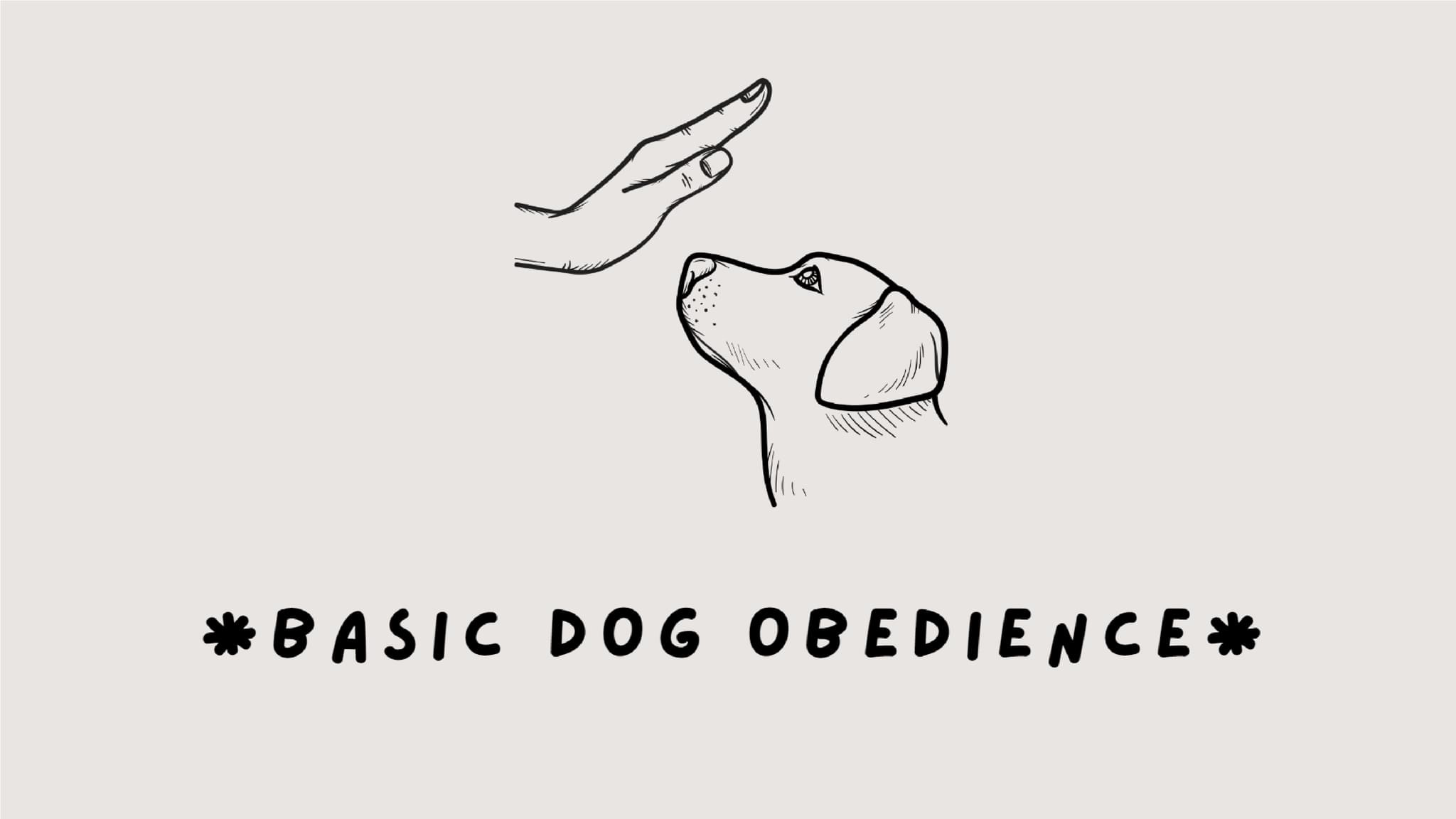 Doggone Dog Training LLC logo