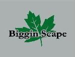 Biggin Scape Lawn Care & Landscaping logo