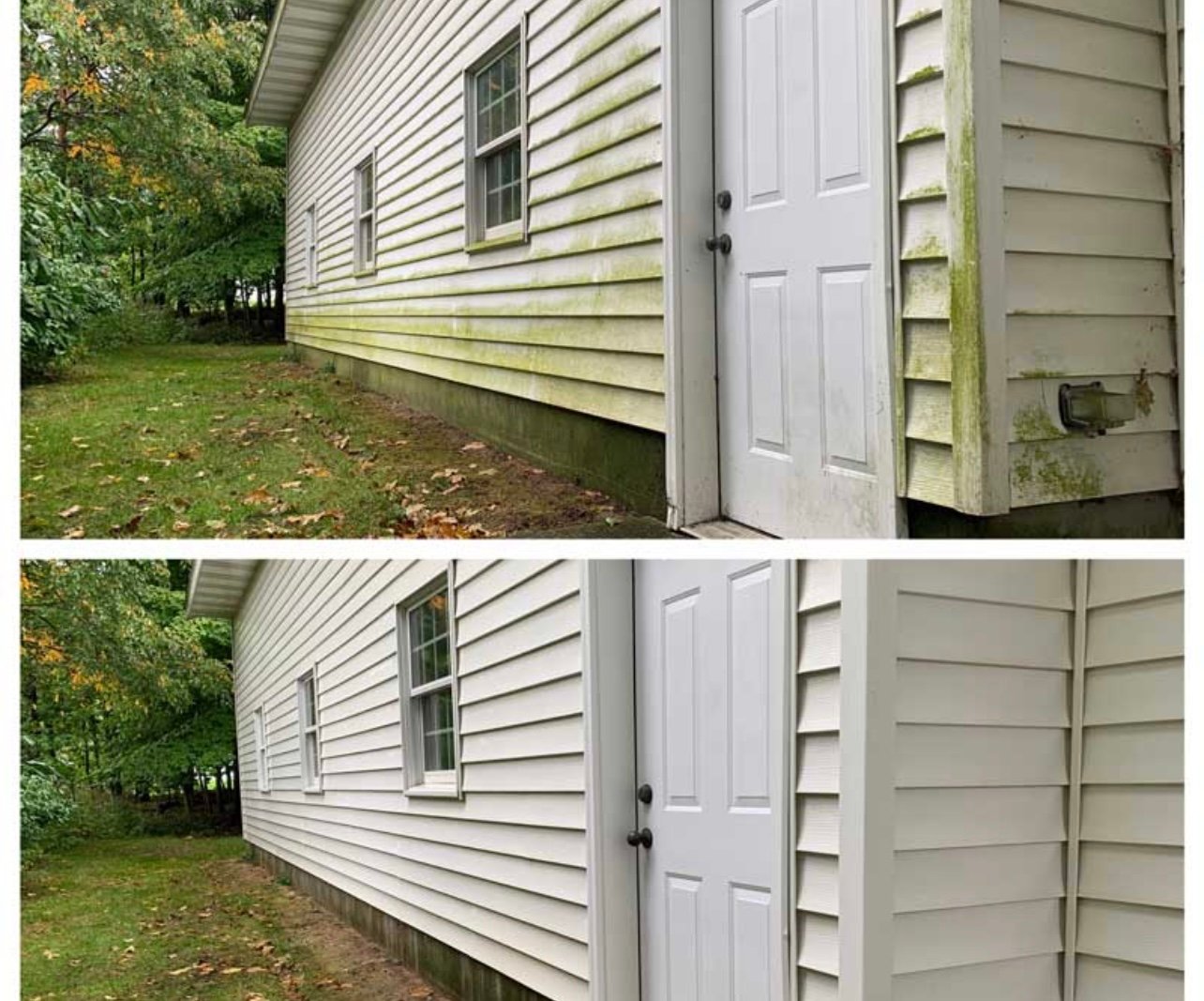 Avatar for Massie clean