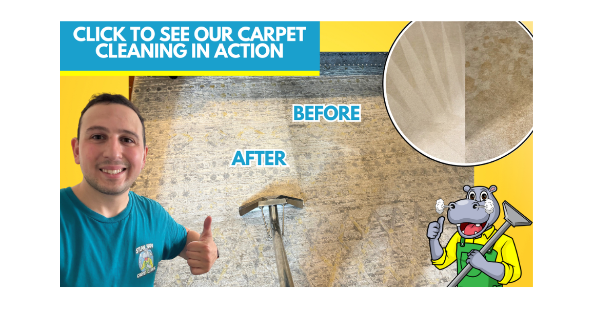 Avatar for Steam Hippo Carpet Cleaning