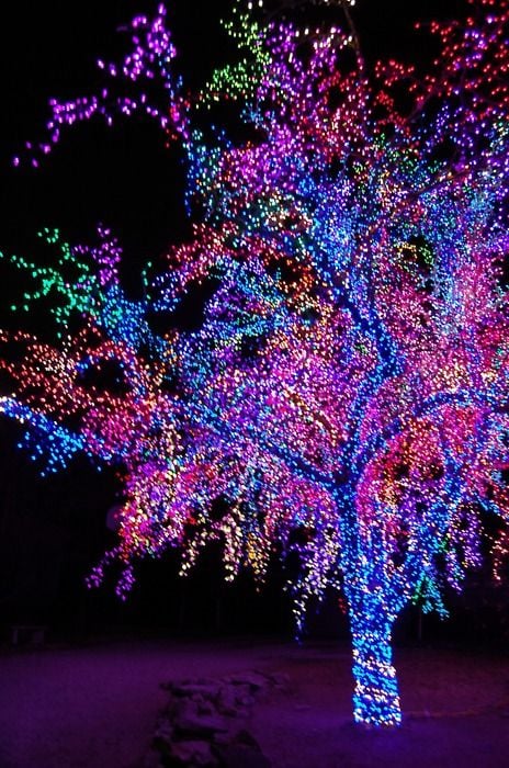 Avatar for Magic christmas lights decor 