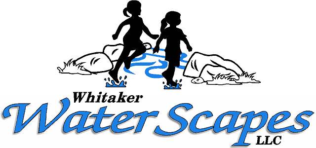 Avatar for Whitaker Waterscapes LLC