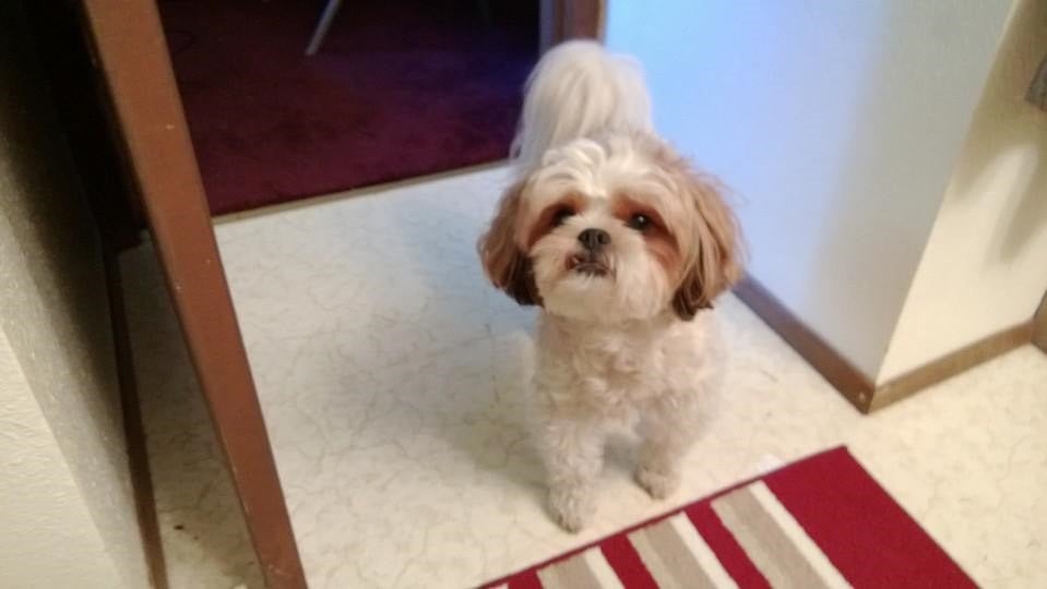 Avatar for Reidt Way Doors, LLC.