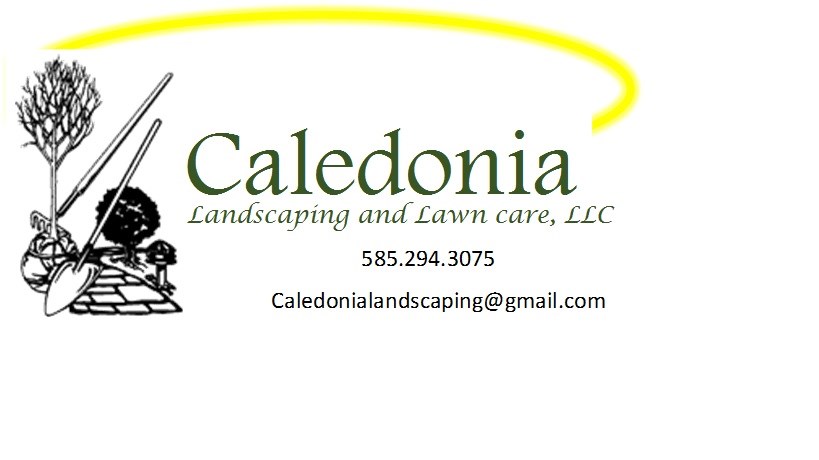 Caledonia Landscaping and Lawn Care LLC logo