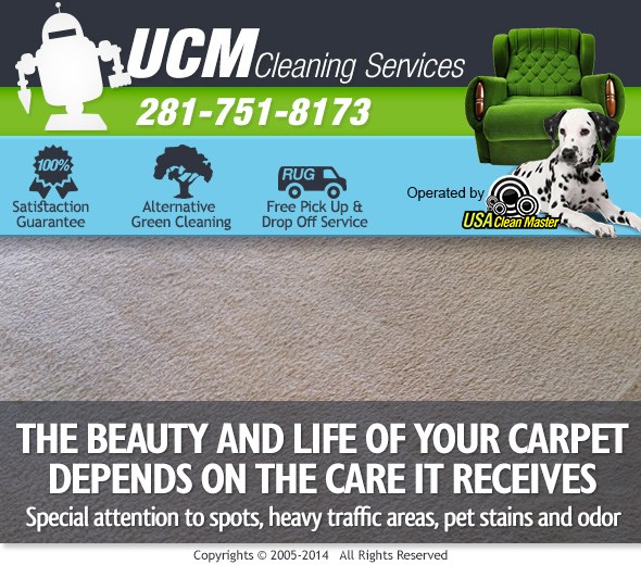 Carpet Cleaning