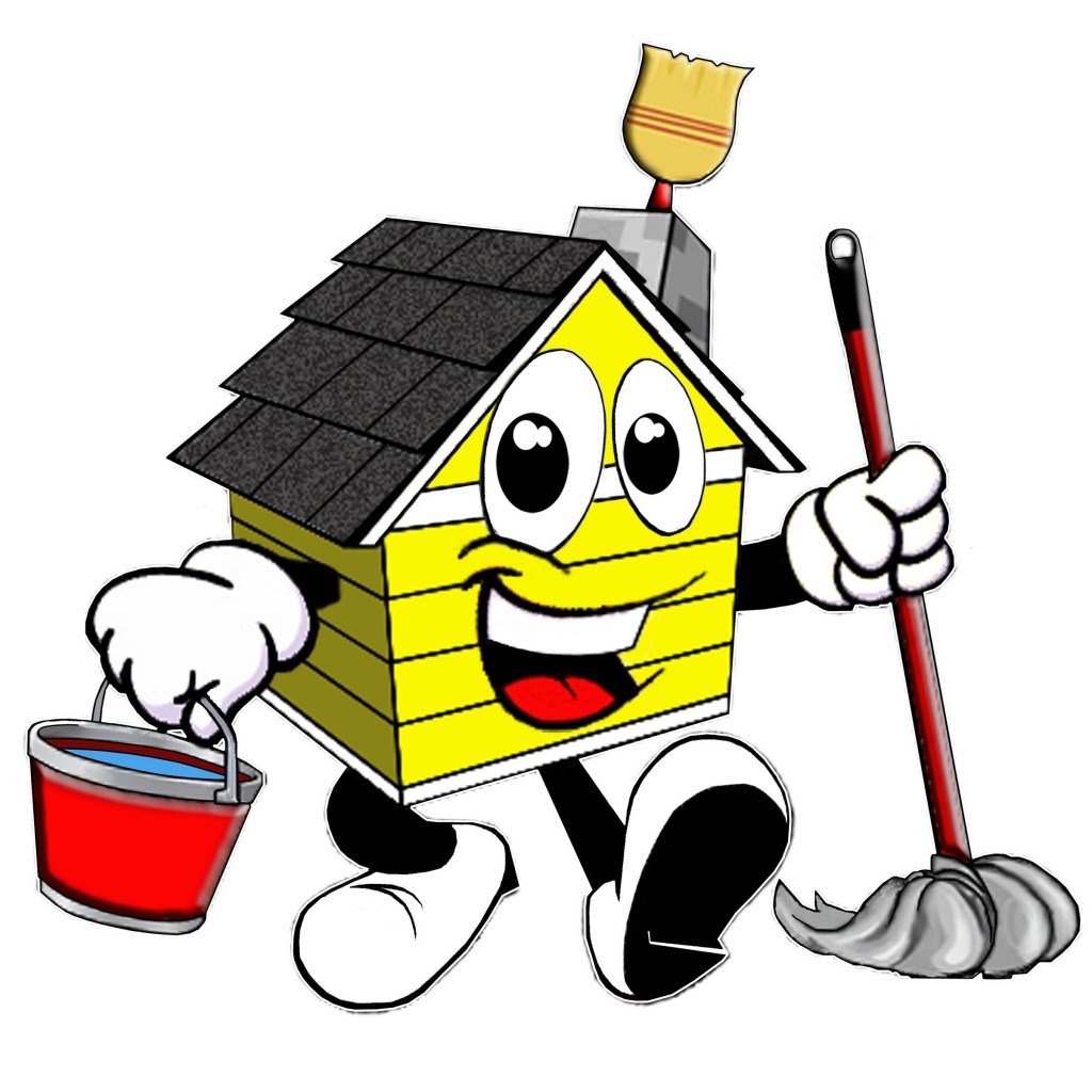 Pro Pressure Washers logo