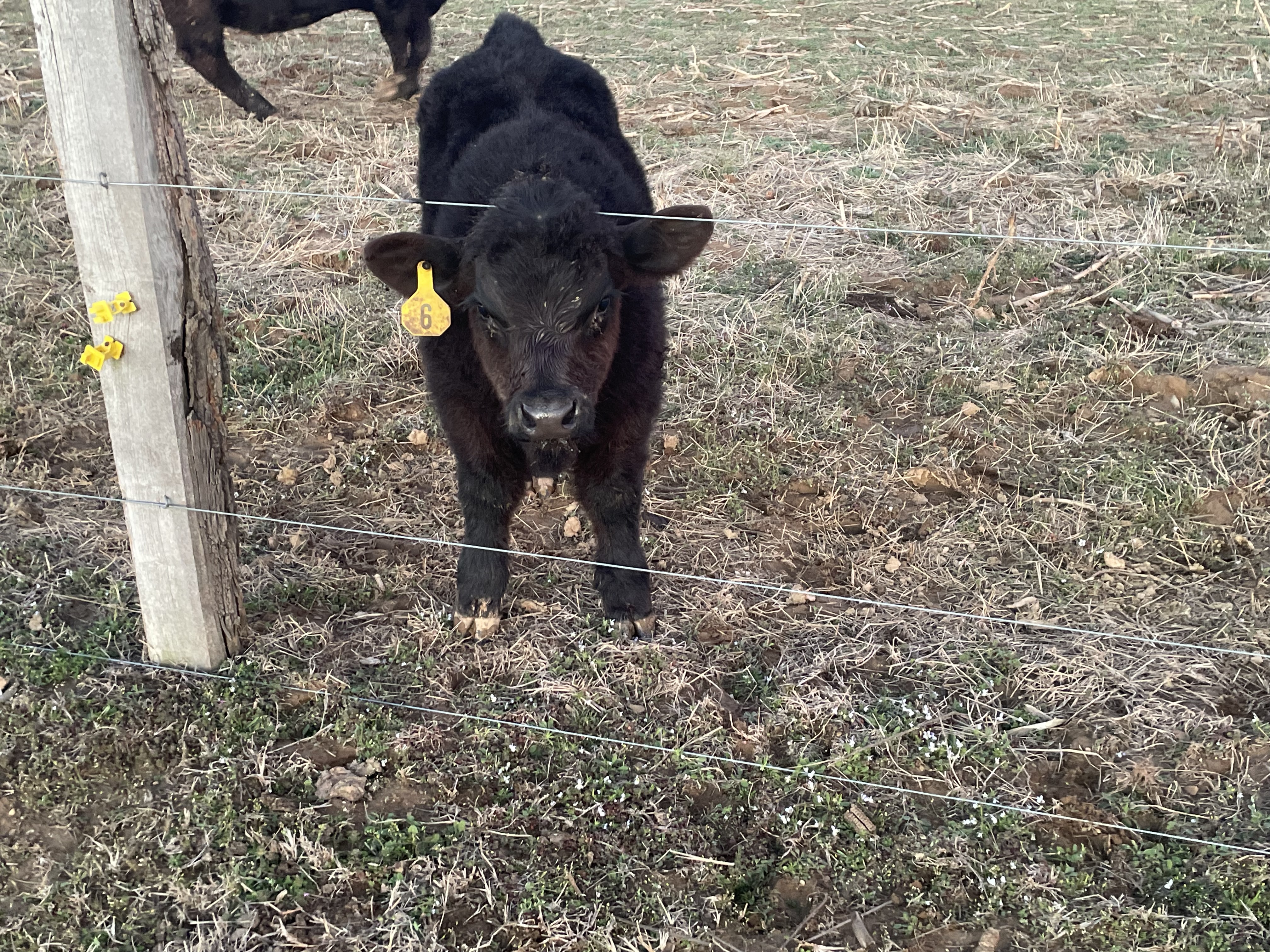 Avatar for Kc stone farms