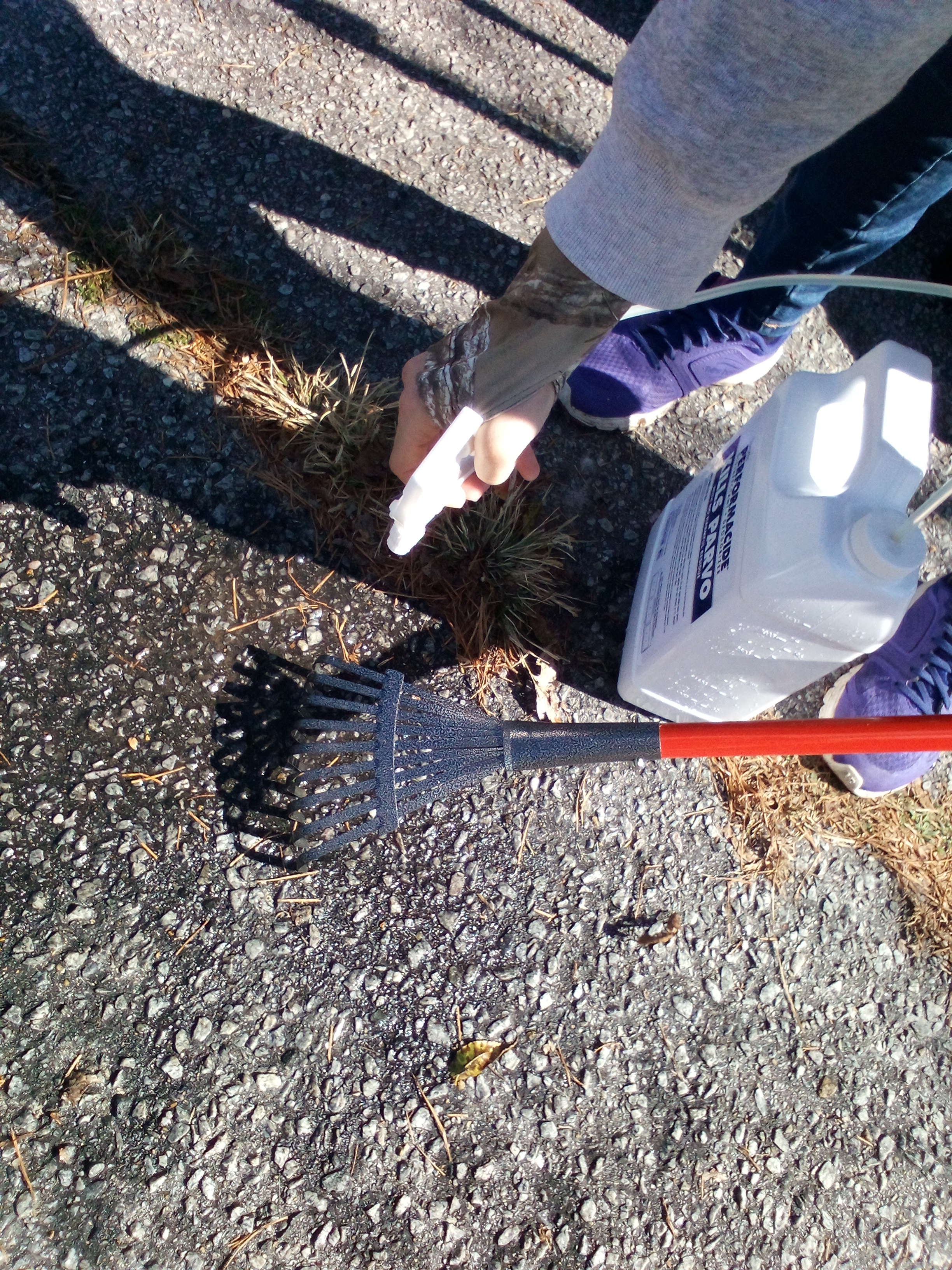 Avatar for Pristine Poop Pickup