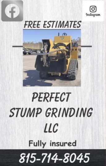 Avatar for Perfect stump grinding LLC