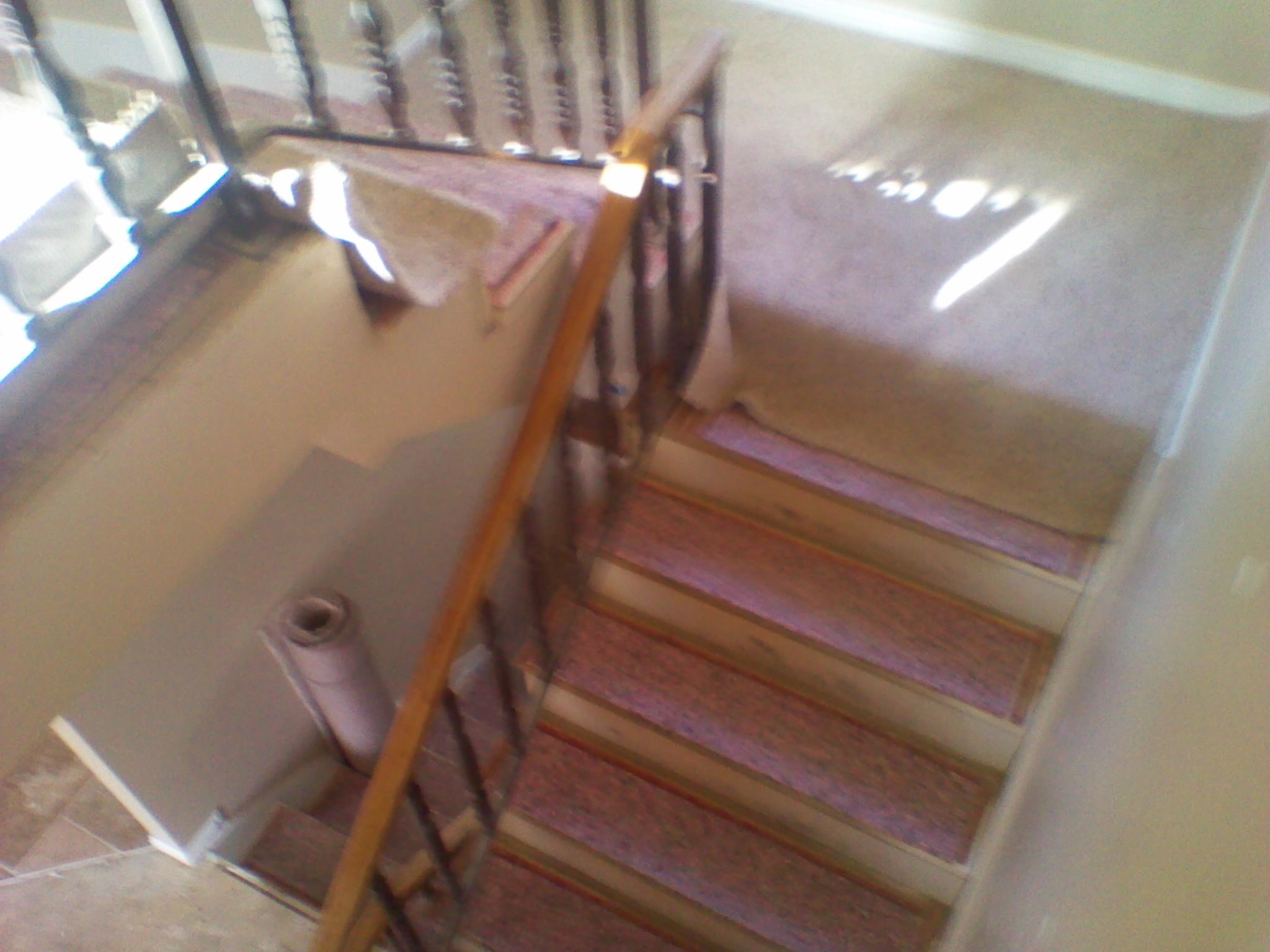 Avatar for Doctor Carpet