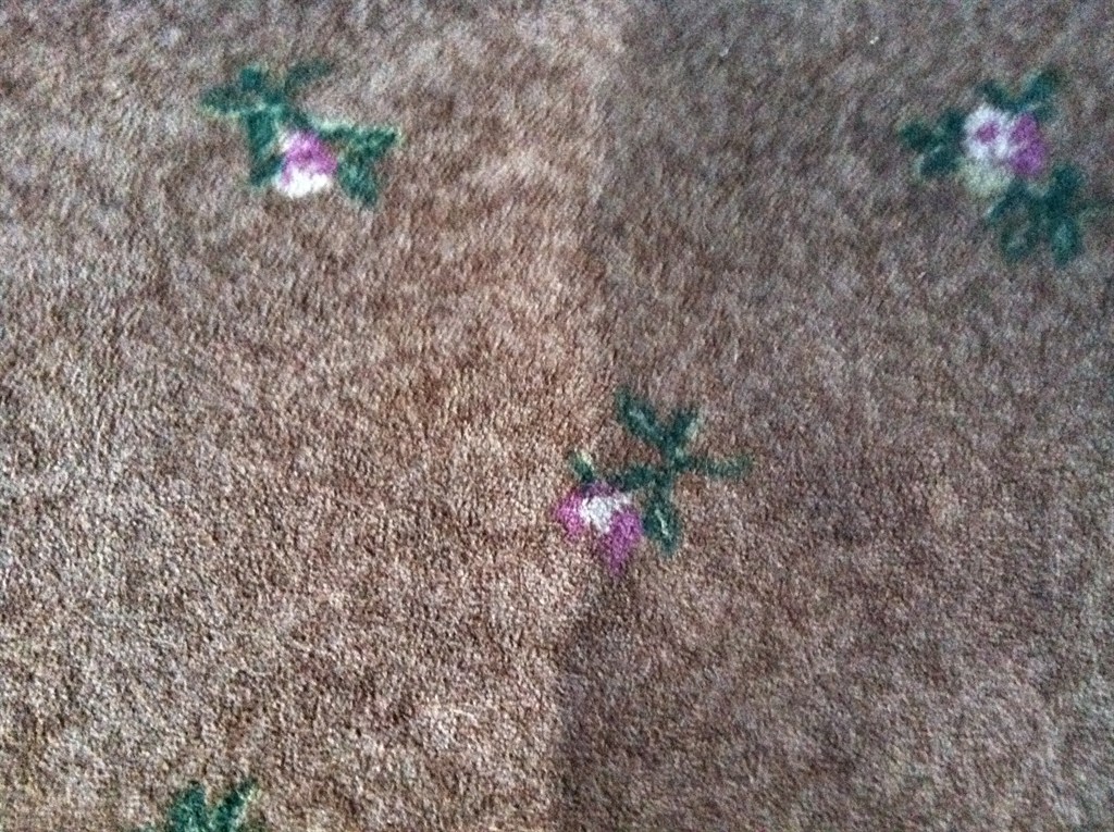 carpet