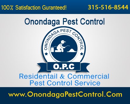 Avatar for Onondaga Pest Control