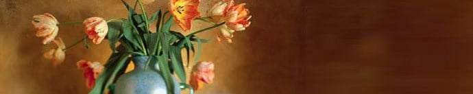 Avatar for Distinctively Different Decor & More