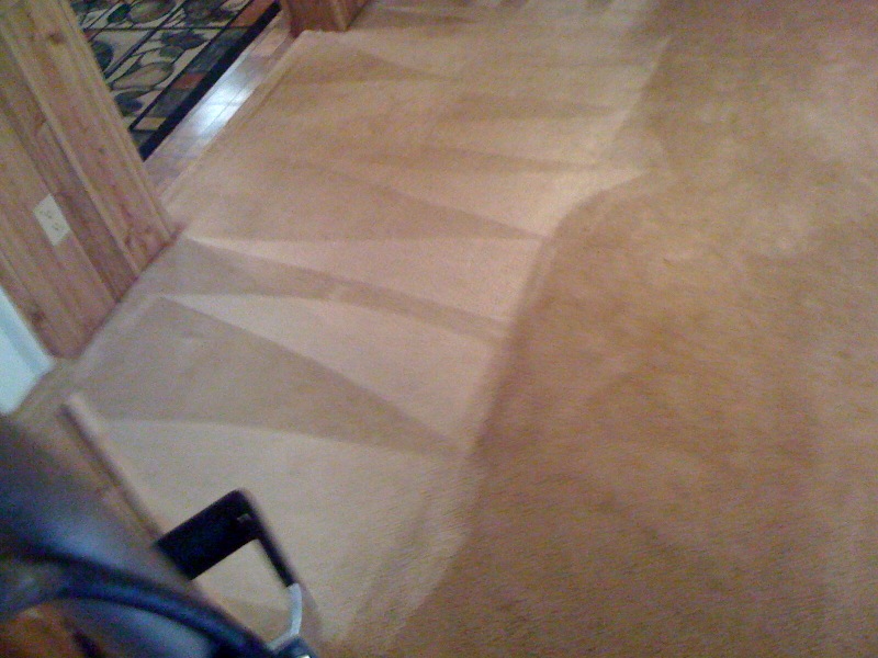 Carpet Cleaned Properly