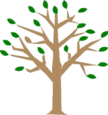Logo for Seaport Landscape Management, LLC