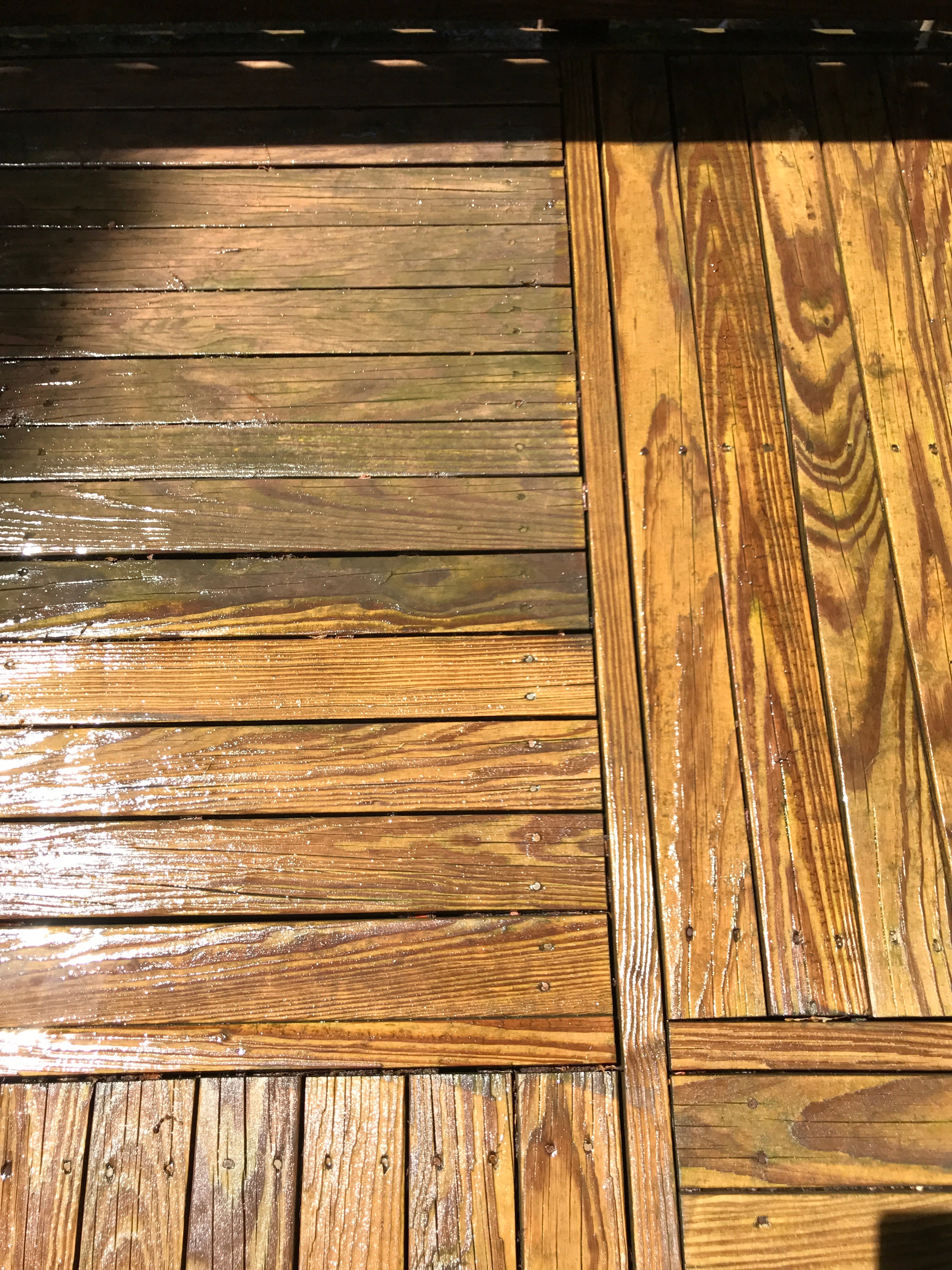 Avatar for Colotti's Pressure Washing Plus