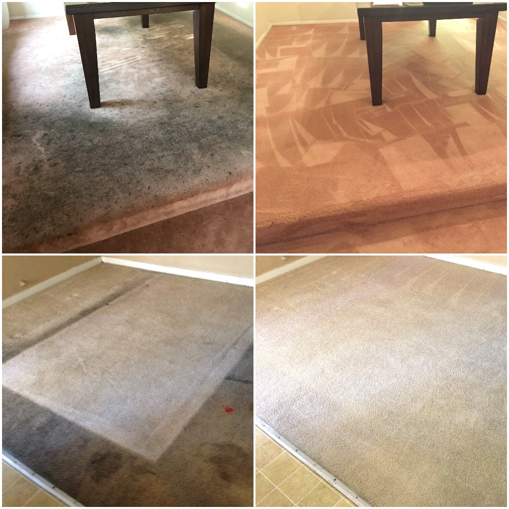 Avatar for D-Best Carpet Care