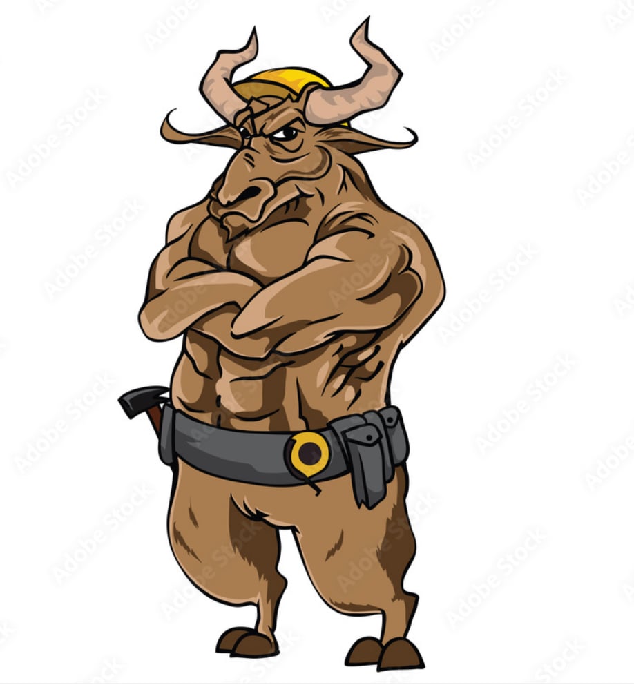 Avatar for Bull construction/Handyman service