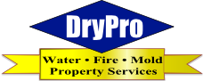 DryPro, Inc. logo