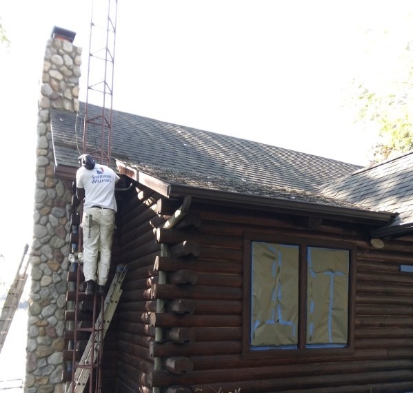 Avatar for Phenomenal Painting & More