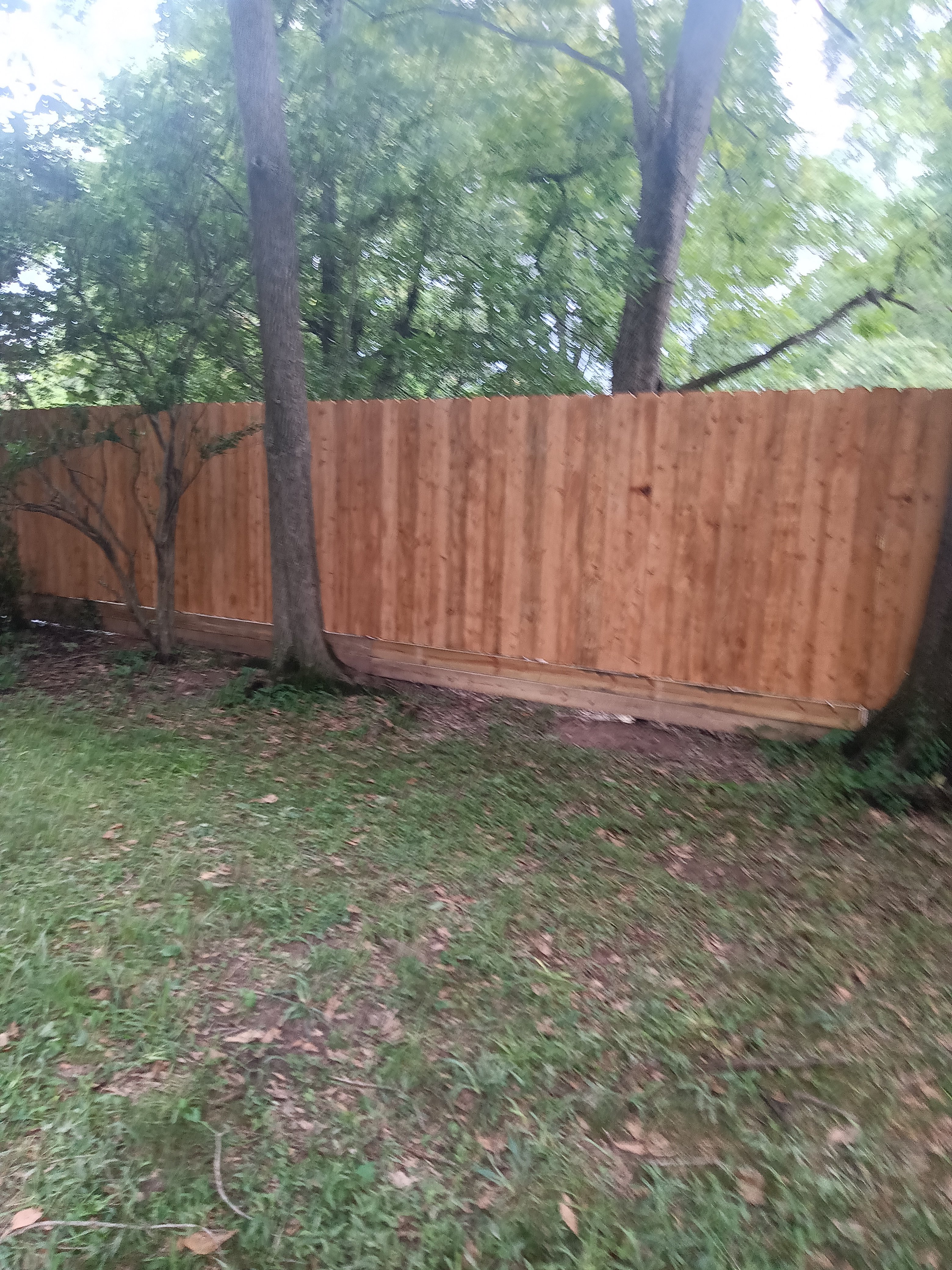 Avatar for Kirks correct fence