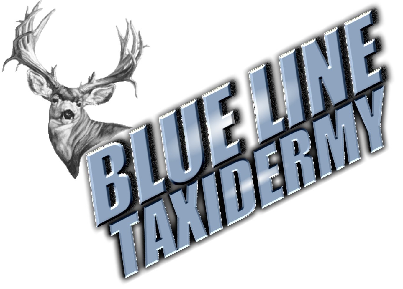 Blueline Taxidermy logo