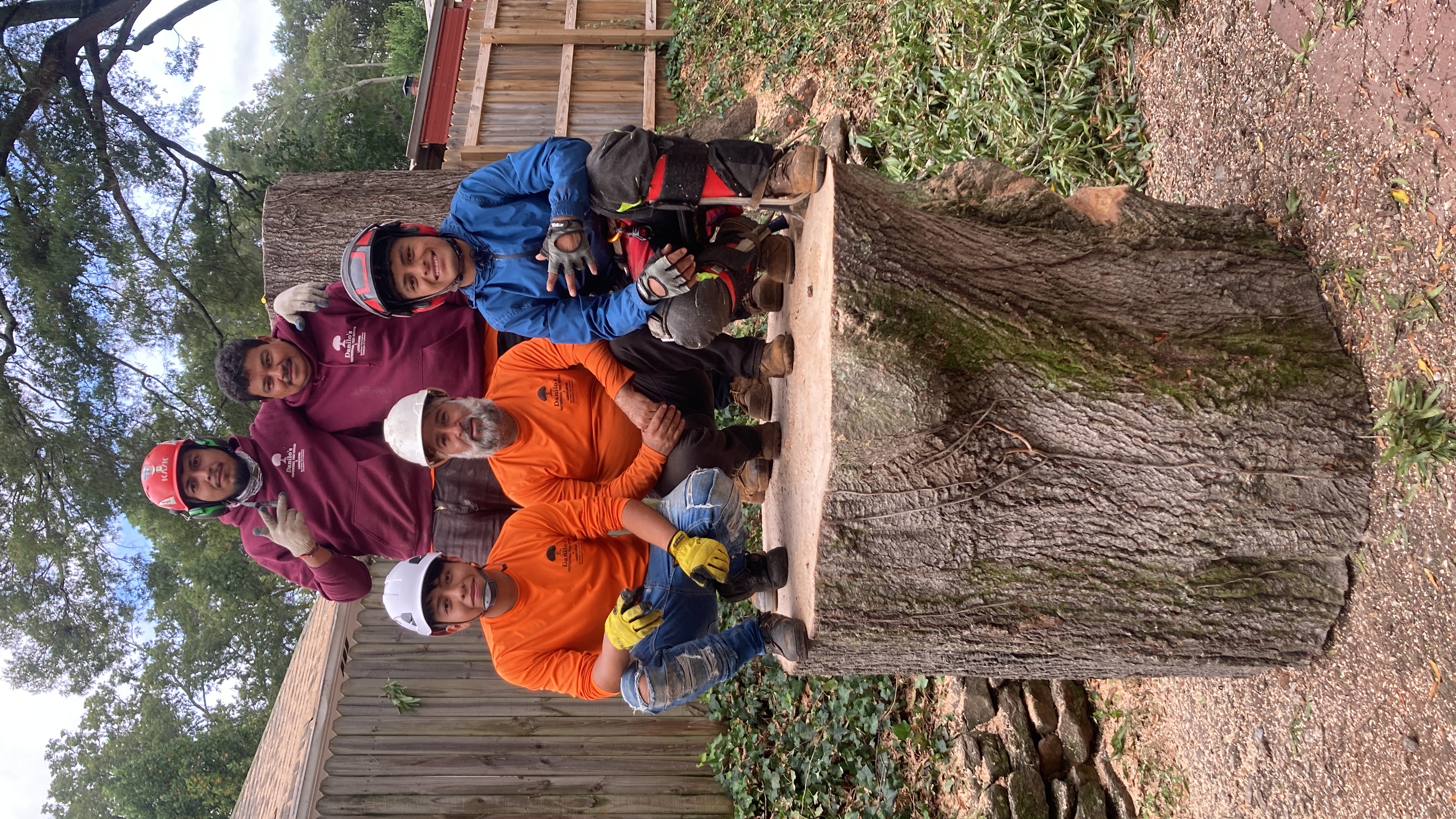 Avatar for Resendiz tree servis