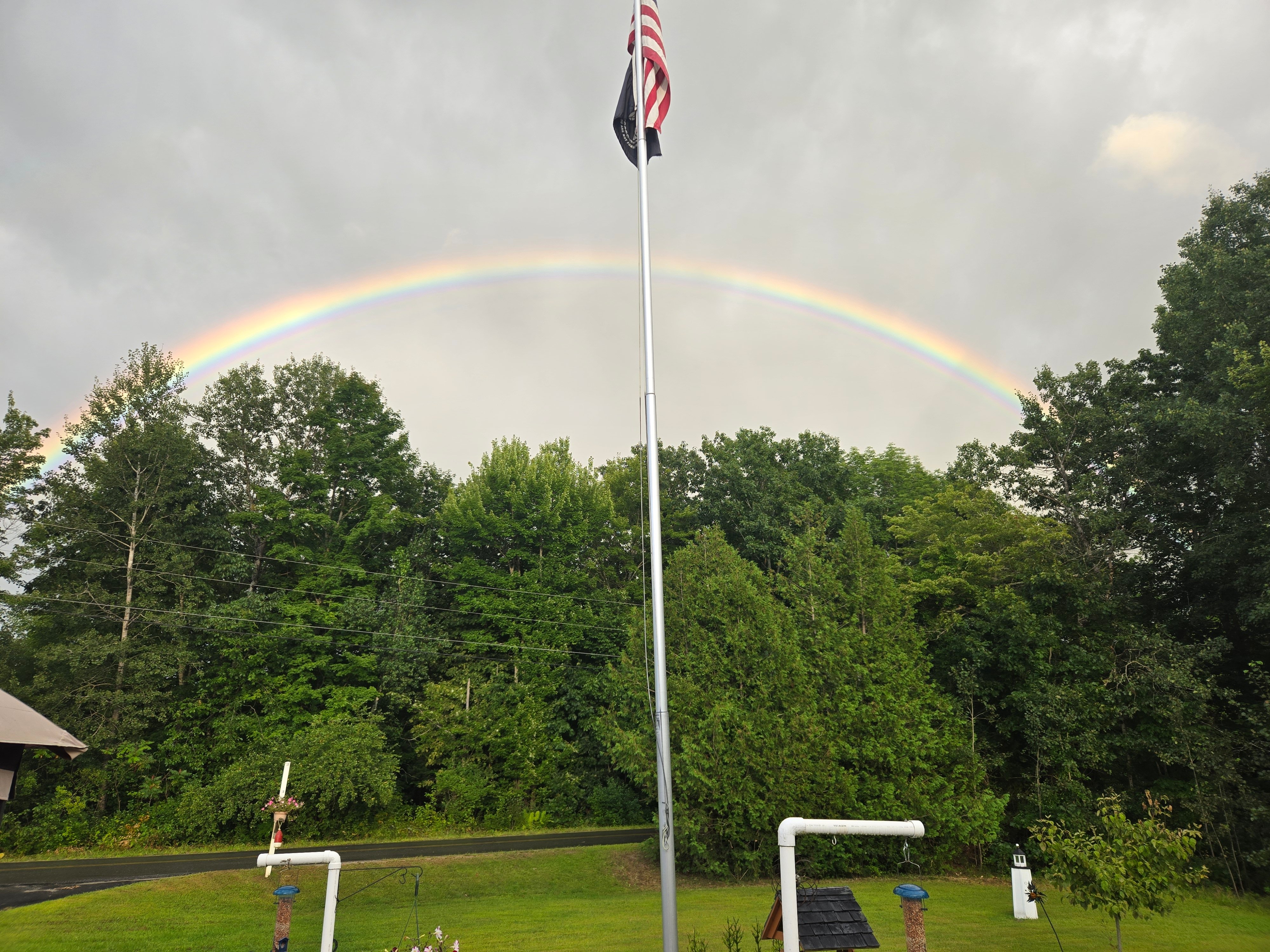 Avatar for Elvis tracy