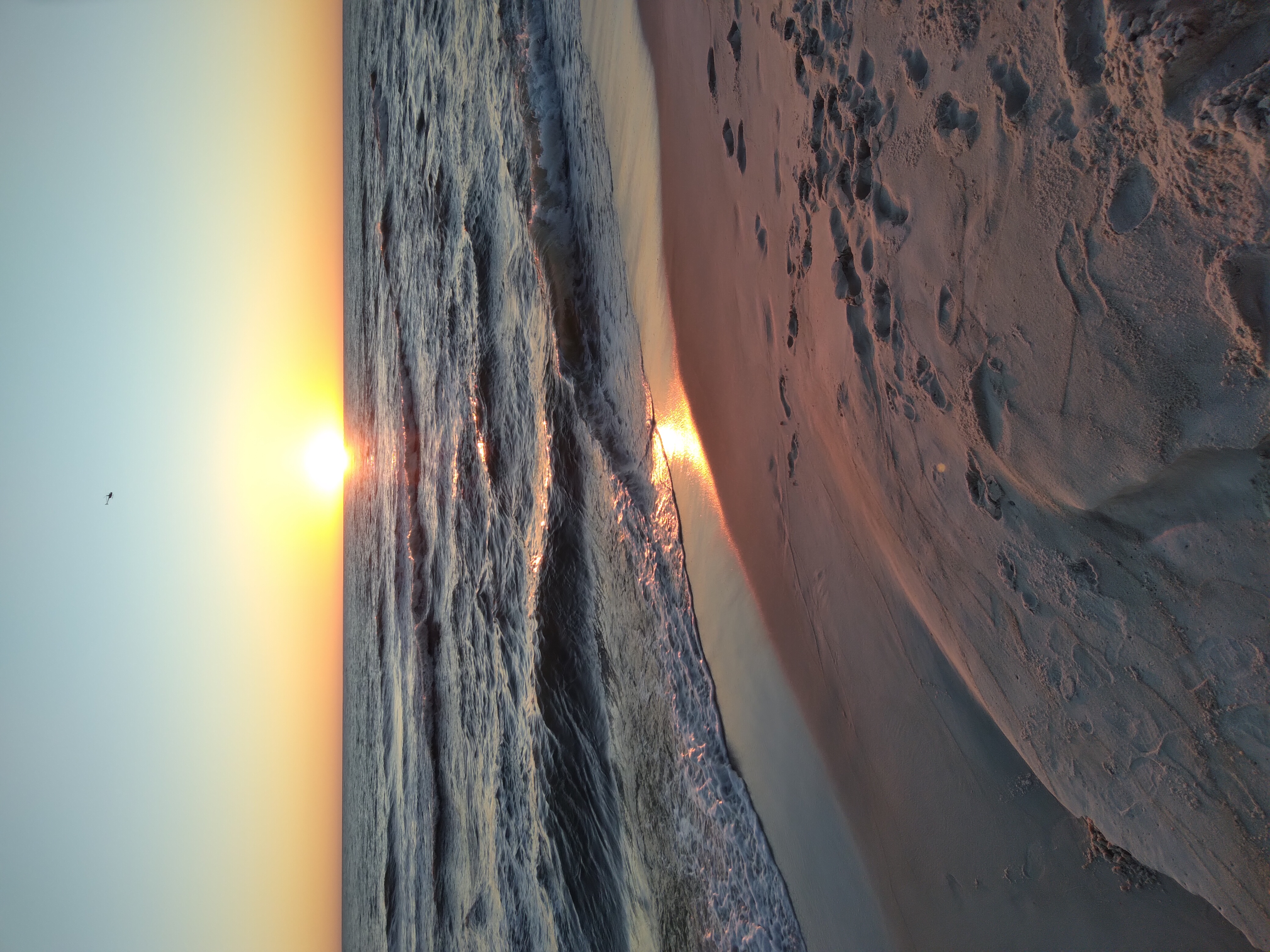 Avatar for Setting Sun Pools LLC