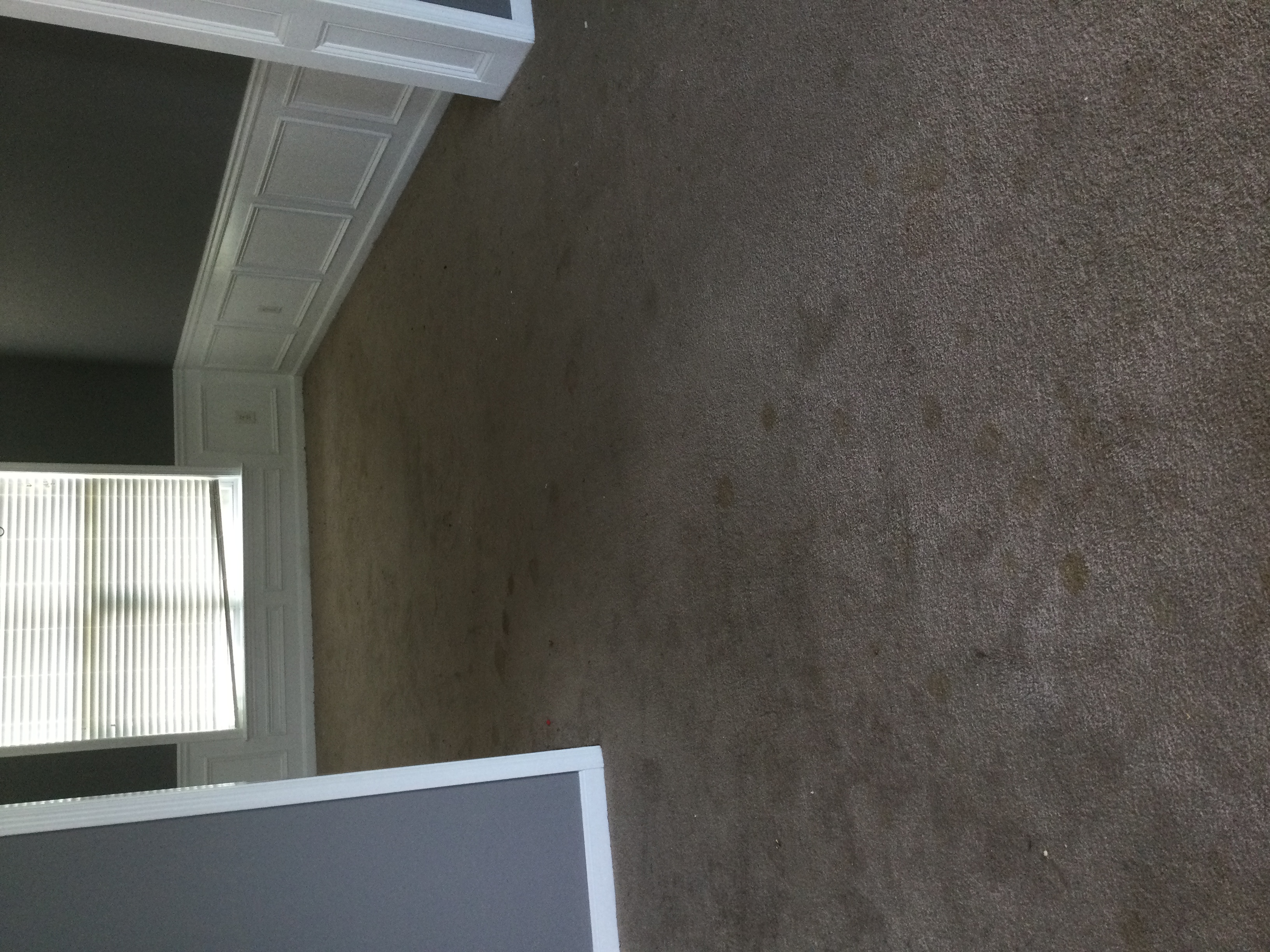 Double N Services Reviews Mableton, GA Angi [Angie's List]