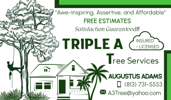Avatar for Triple A Tree Service