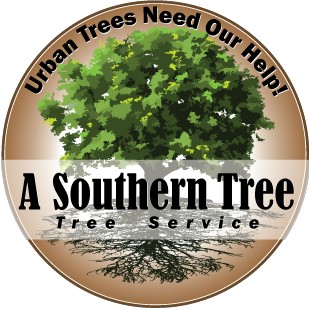 Logo for A Southern Tree