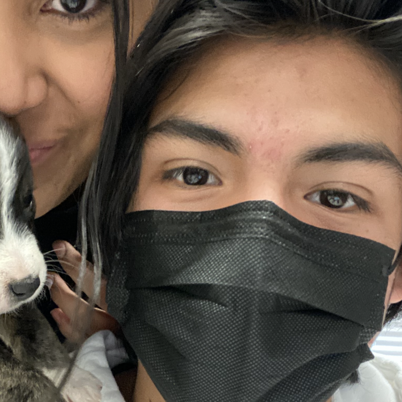 Avatar for Quickwelding