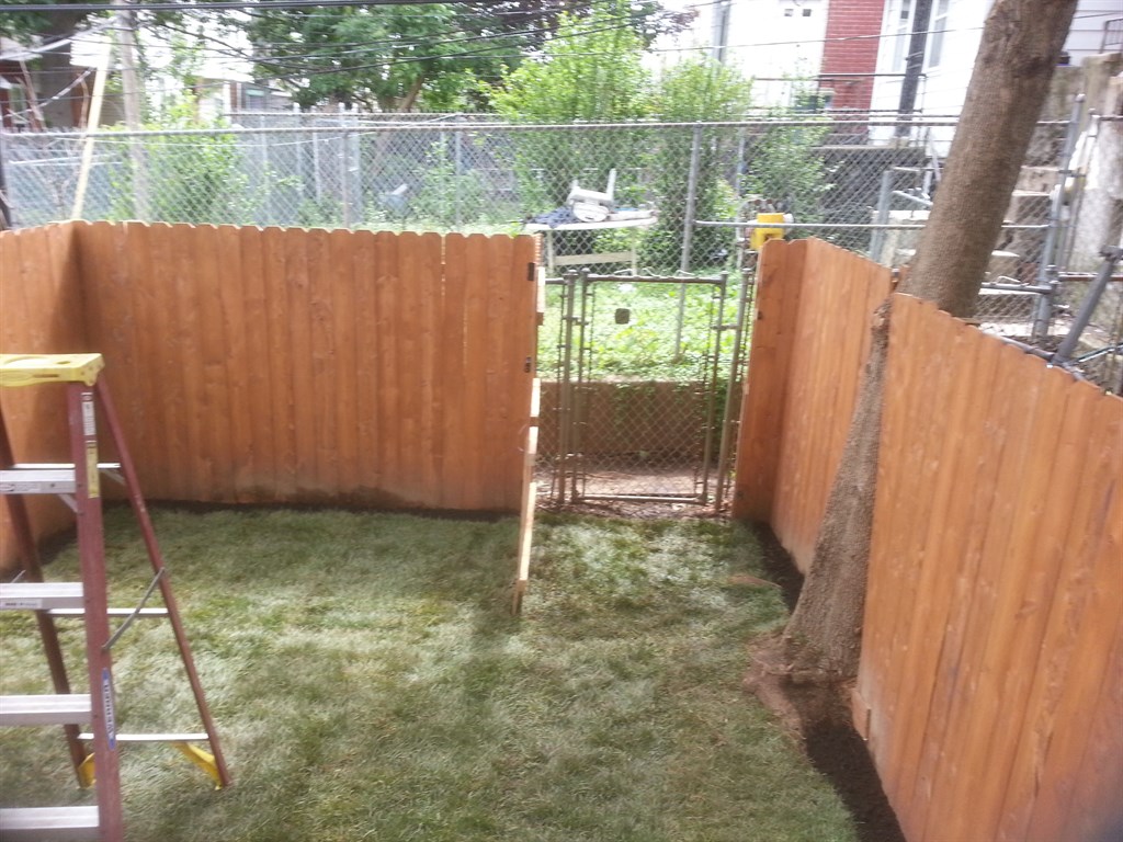 Sod and Fence