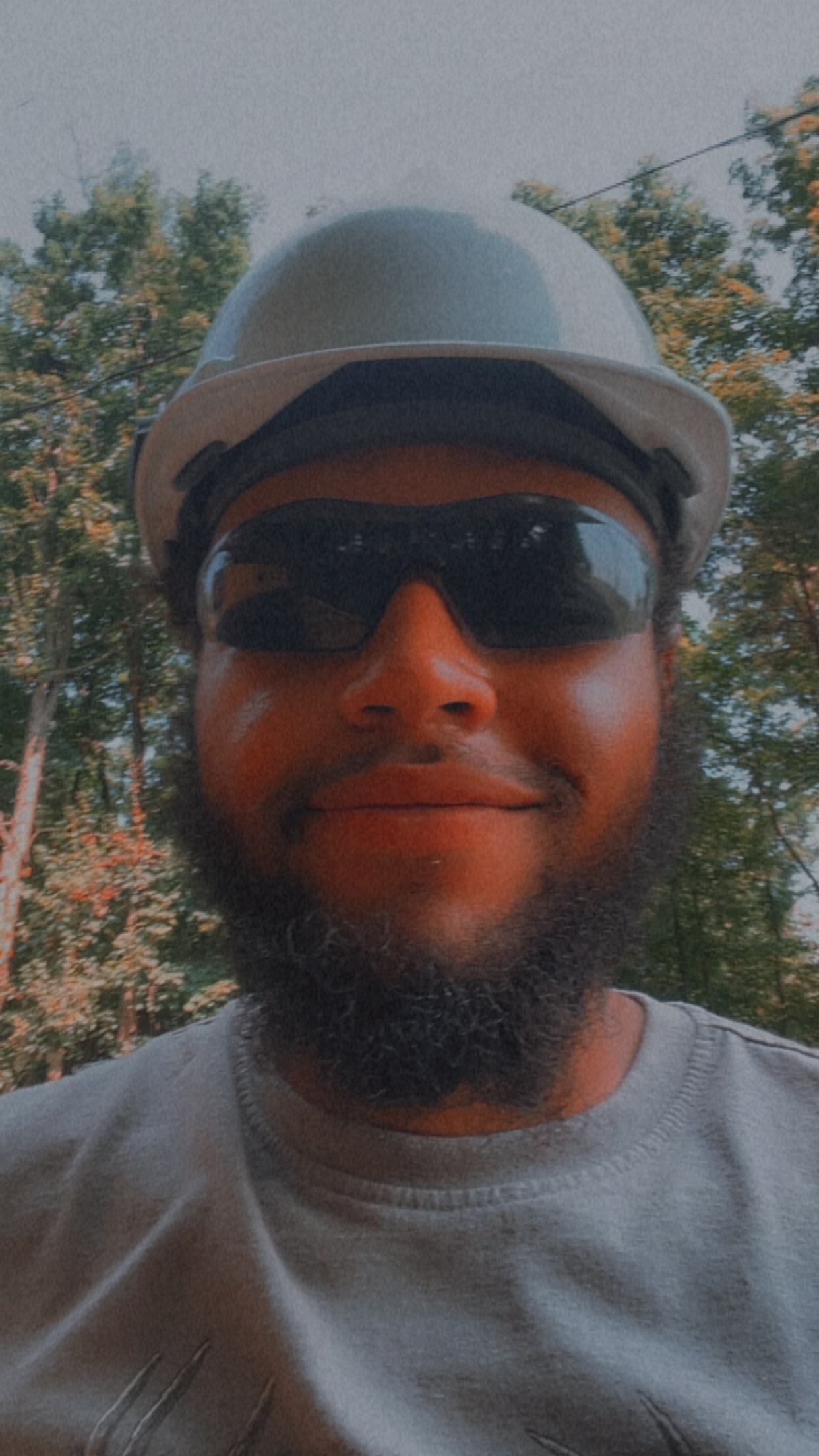 Avatar for Hacker Tree Trimmers