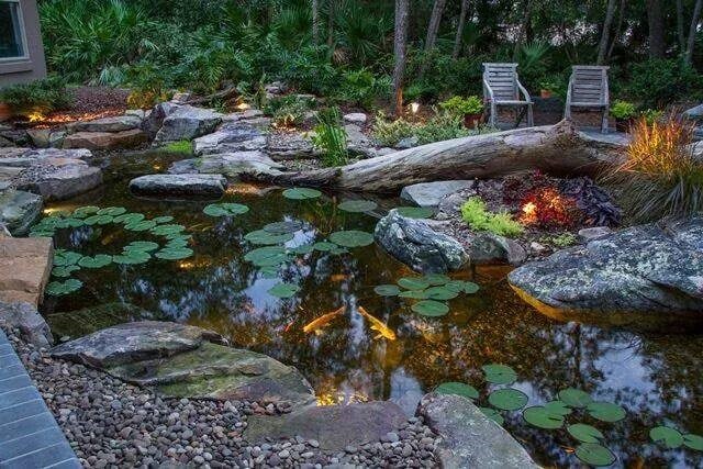 Woodland water feature