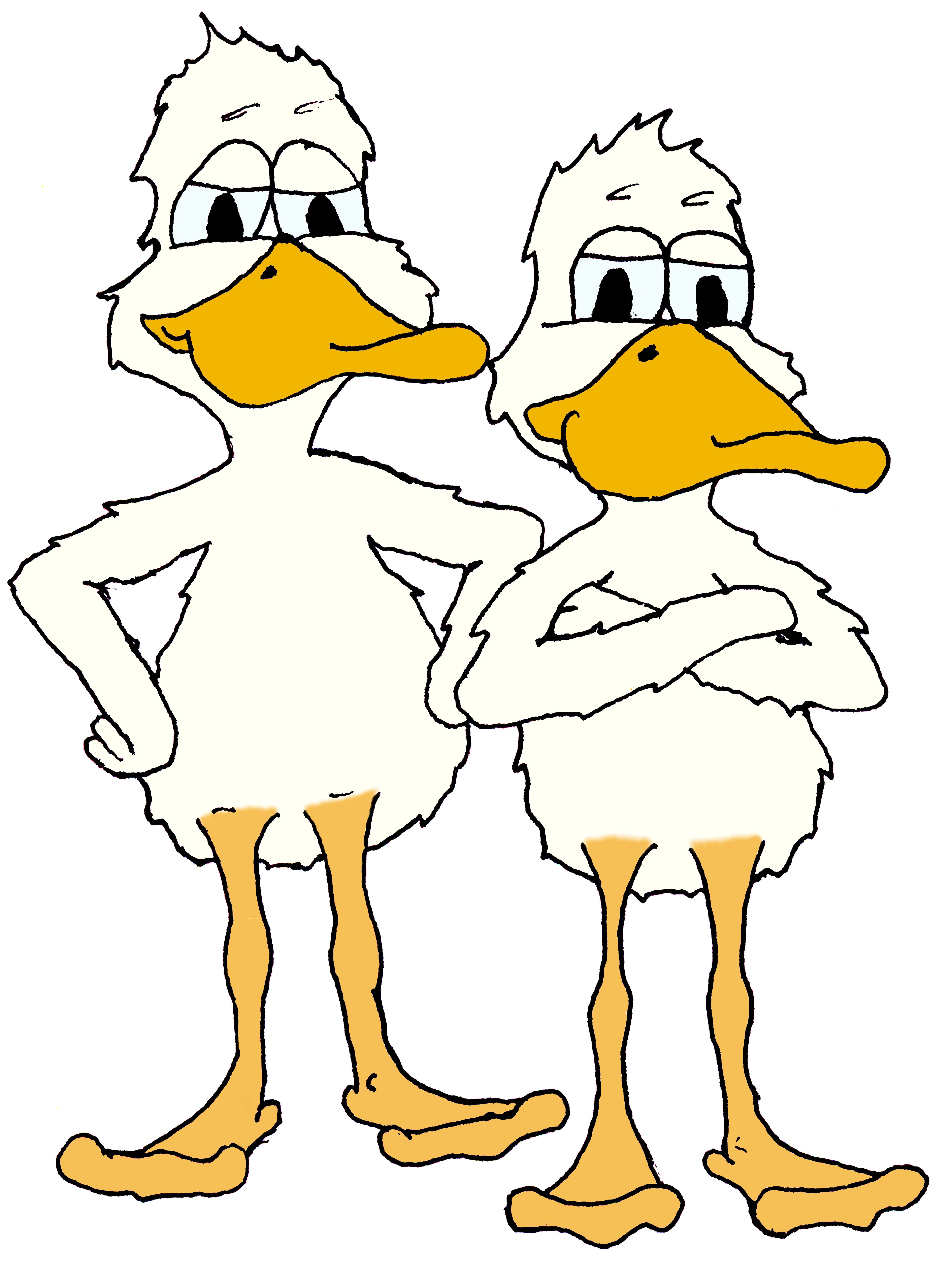 Avatar for The Duct Cleaning Specialist