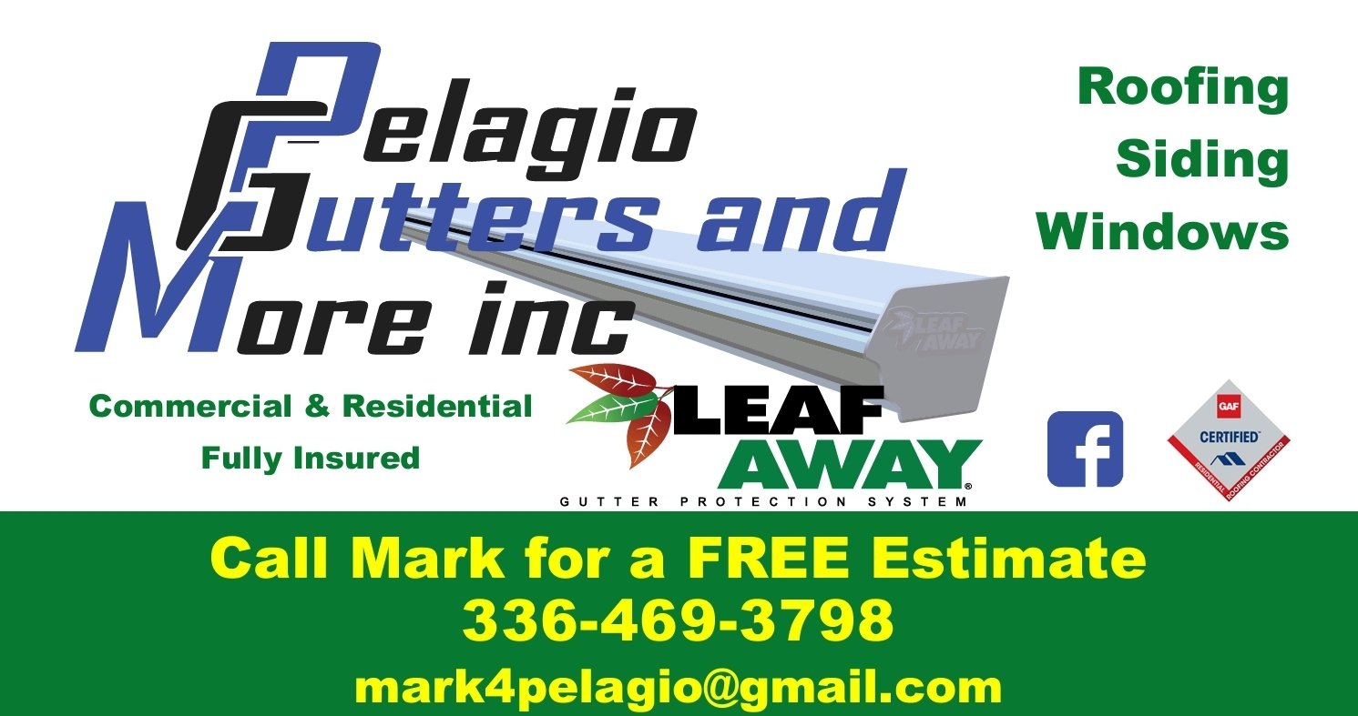 Avatar for Pelagio Gutters and More Inc