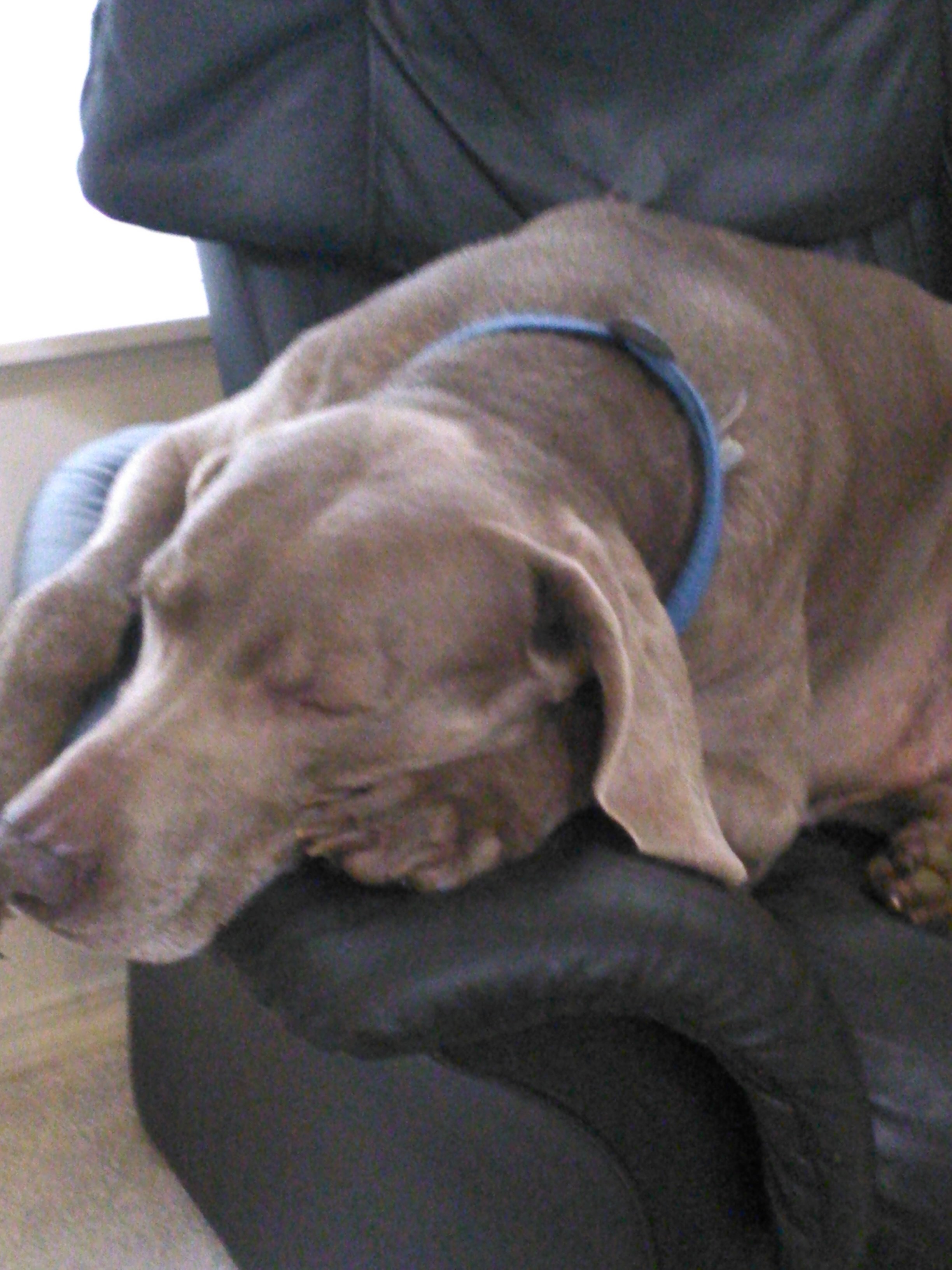 Avatar for general project management