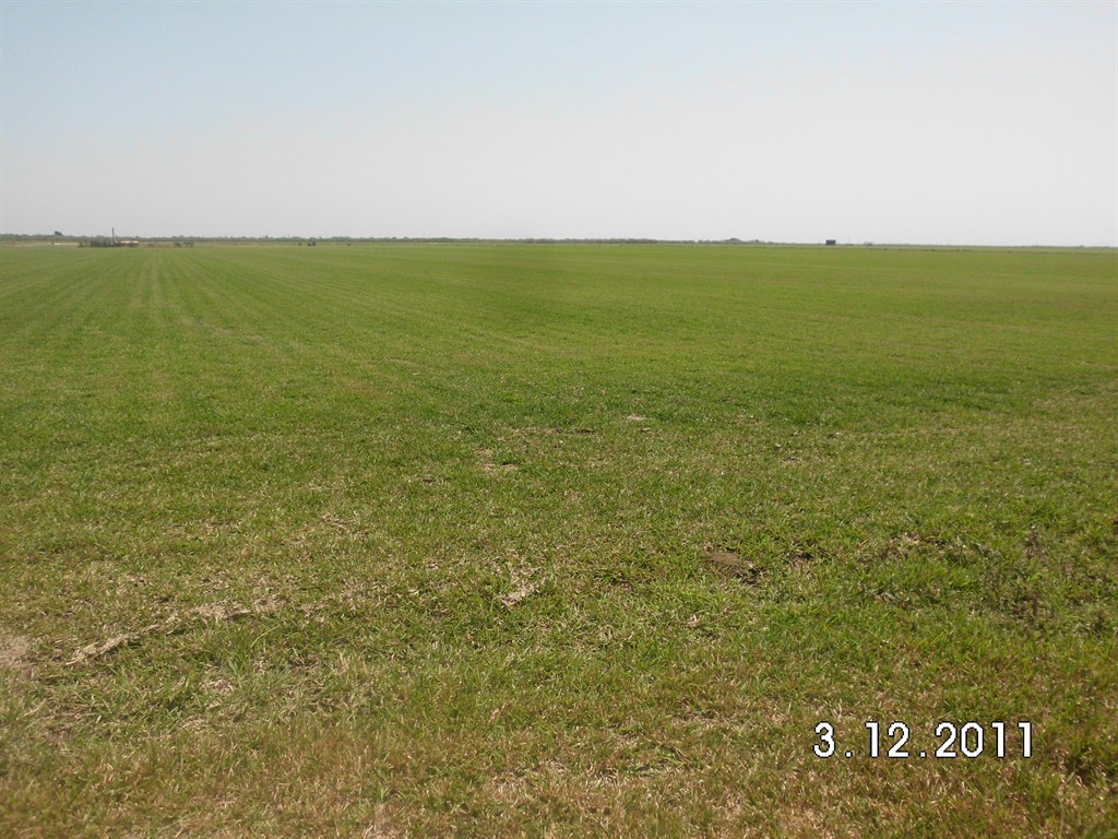 Our field