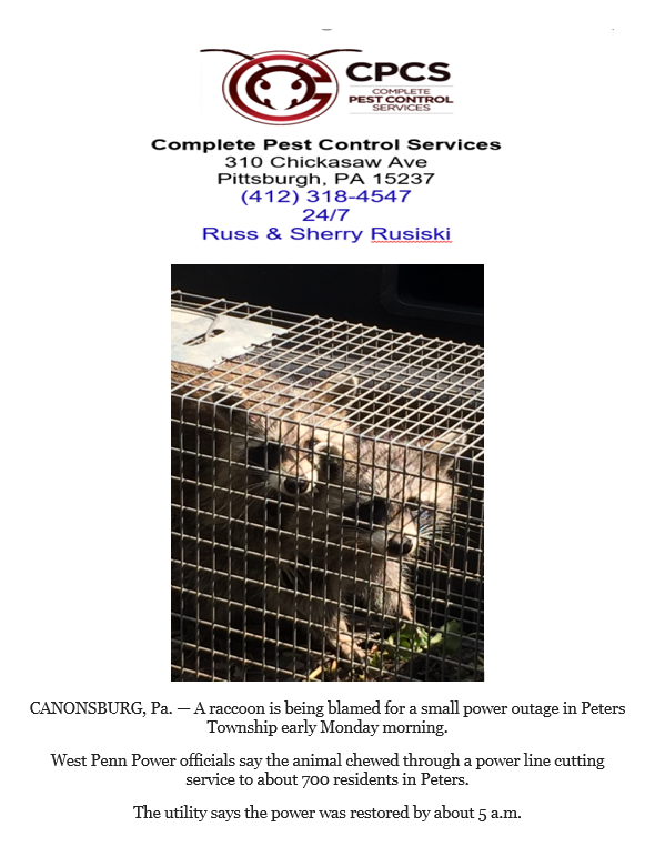 COMPLETE PEST CONTROL SERVICES, LLC Reviews - Pittsburgh, PA | Angi