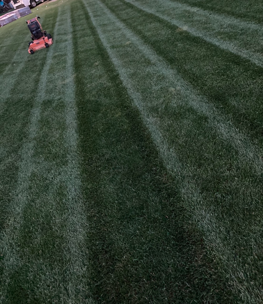 Avatar for Balsam Home & Landscape